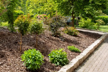 Gartenbereich