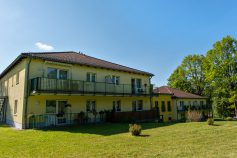 Blick-aus-dem-Garten