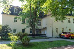 Blick-aus-dem-Park
