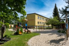 Blick-aus-dem-Garten