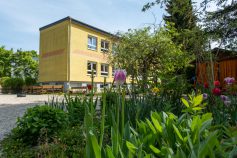 Blick-aus-dem-Garten